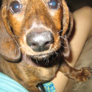 Meet your Posher, Cassandra